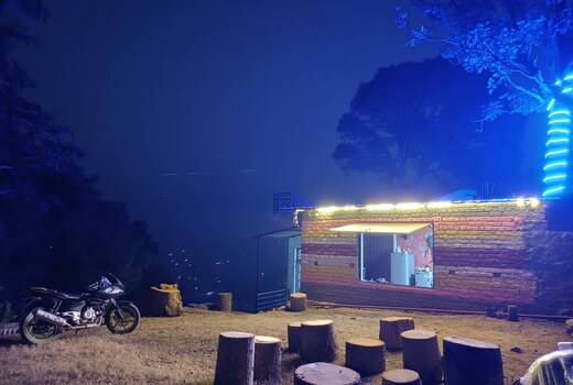 Whistling Pine Morni hills