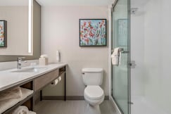 Hilton Garden Inn Dallas-Allen, Collin