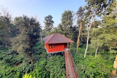 VMJ Wild Stay, Wayanad