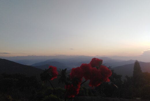 Lamas Homestay Sittong
