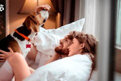 Holiday Inn & Suites Aguascalientes, Aguascalientes