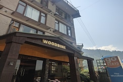 The Woodbine, Manali