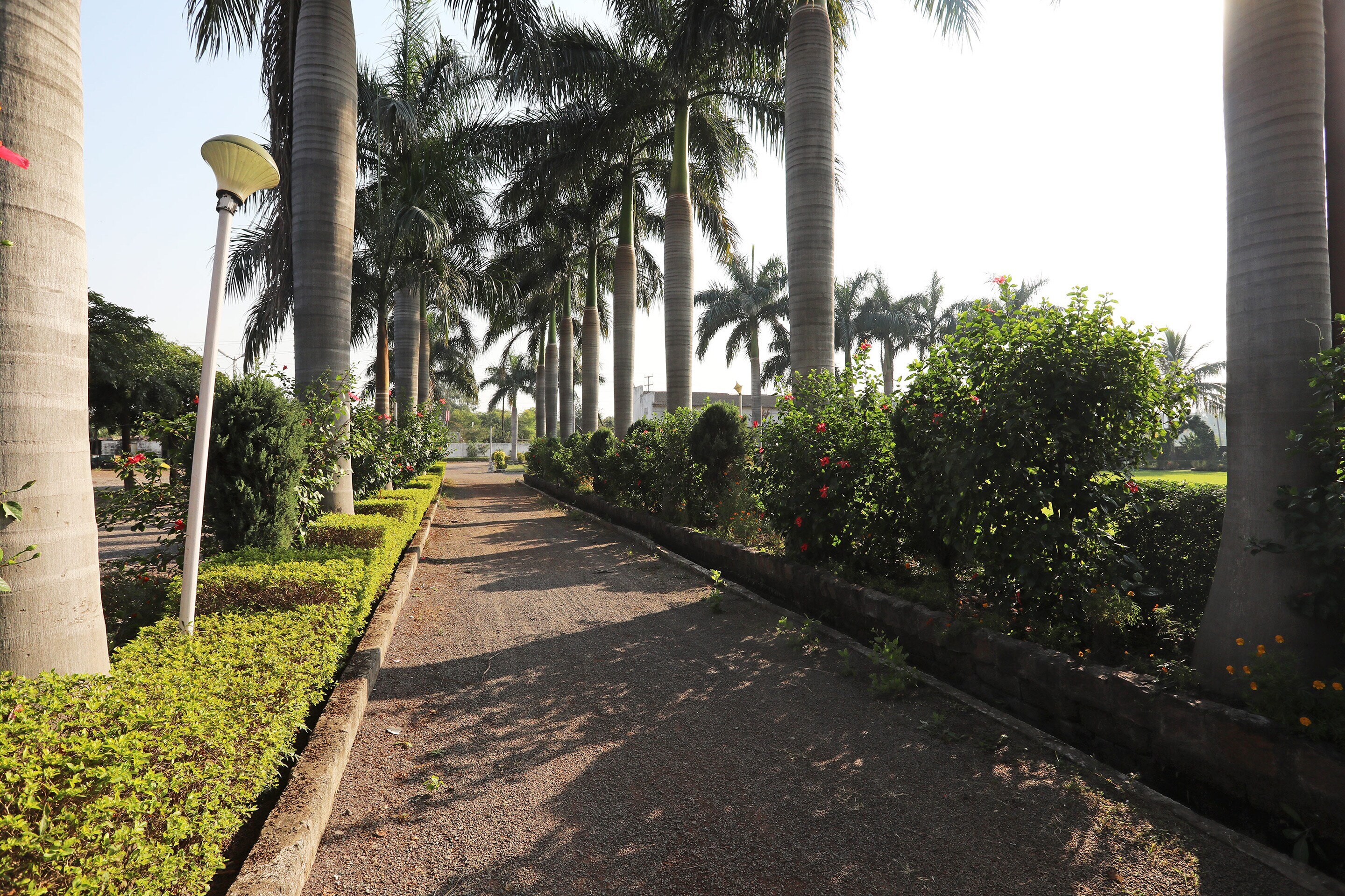 OYO 828989 Dhotre Marriage Garden - Tap to explore photos