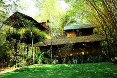 Green Tree House With Pool, Kodungallur