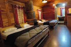 Woody and Mist, Kodaikanal