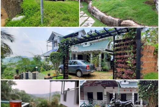 Casita Greens