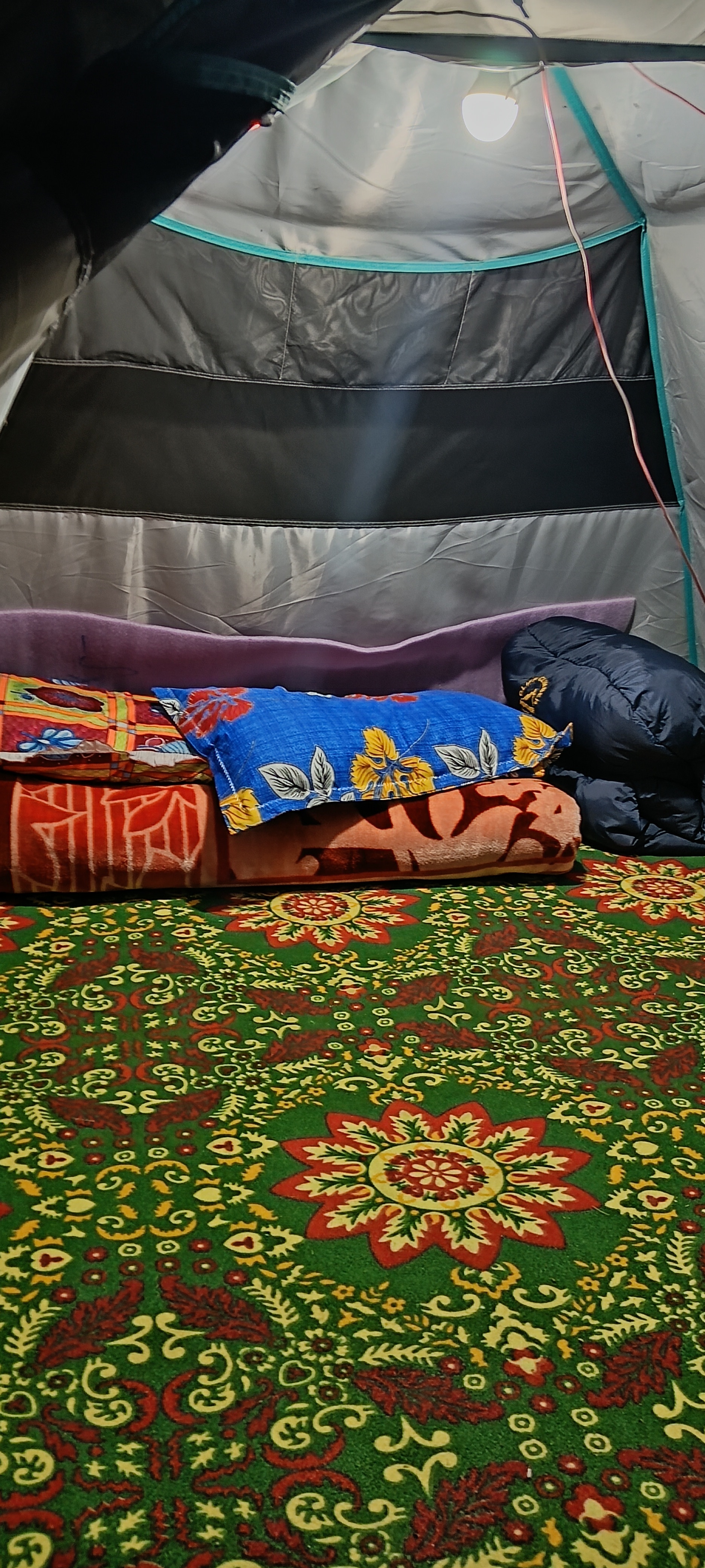GUREZ CAMPSITE (WILDWOOD) - Tap to explore photos