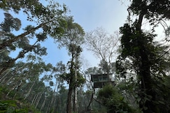 Silver Trees Tree House, Munnar