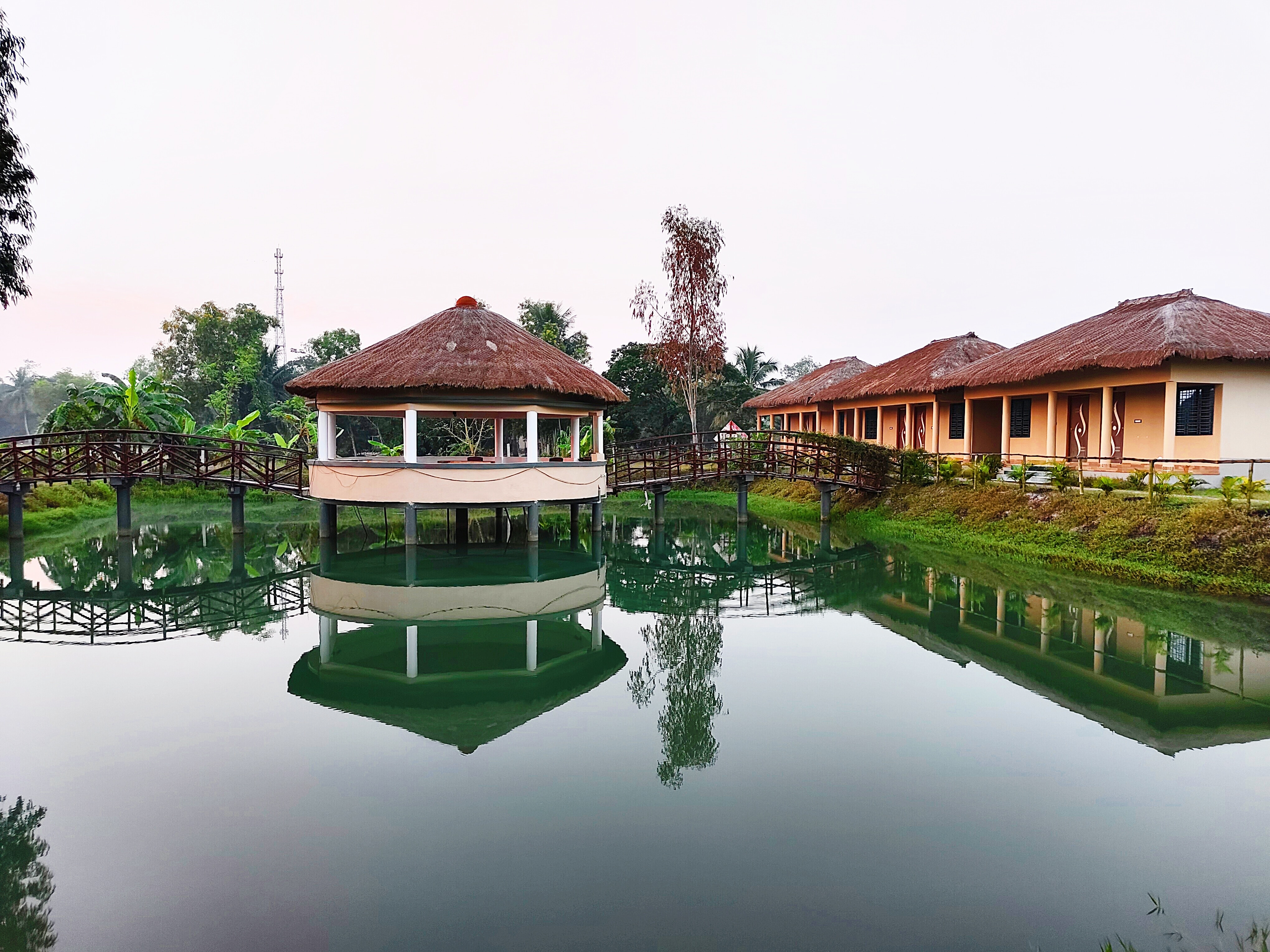 Sundarban Beckons - Tap to explore photos