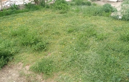 Outdoors