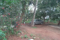 village homestay, Pollachi