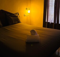 Non AC Double Room