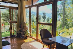 Hayden Hillside, Mashobra