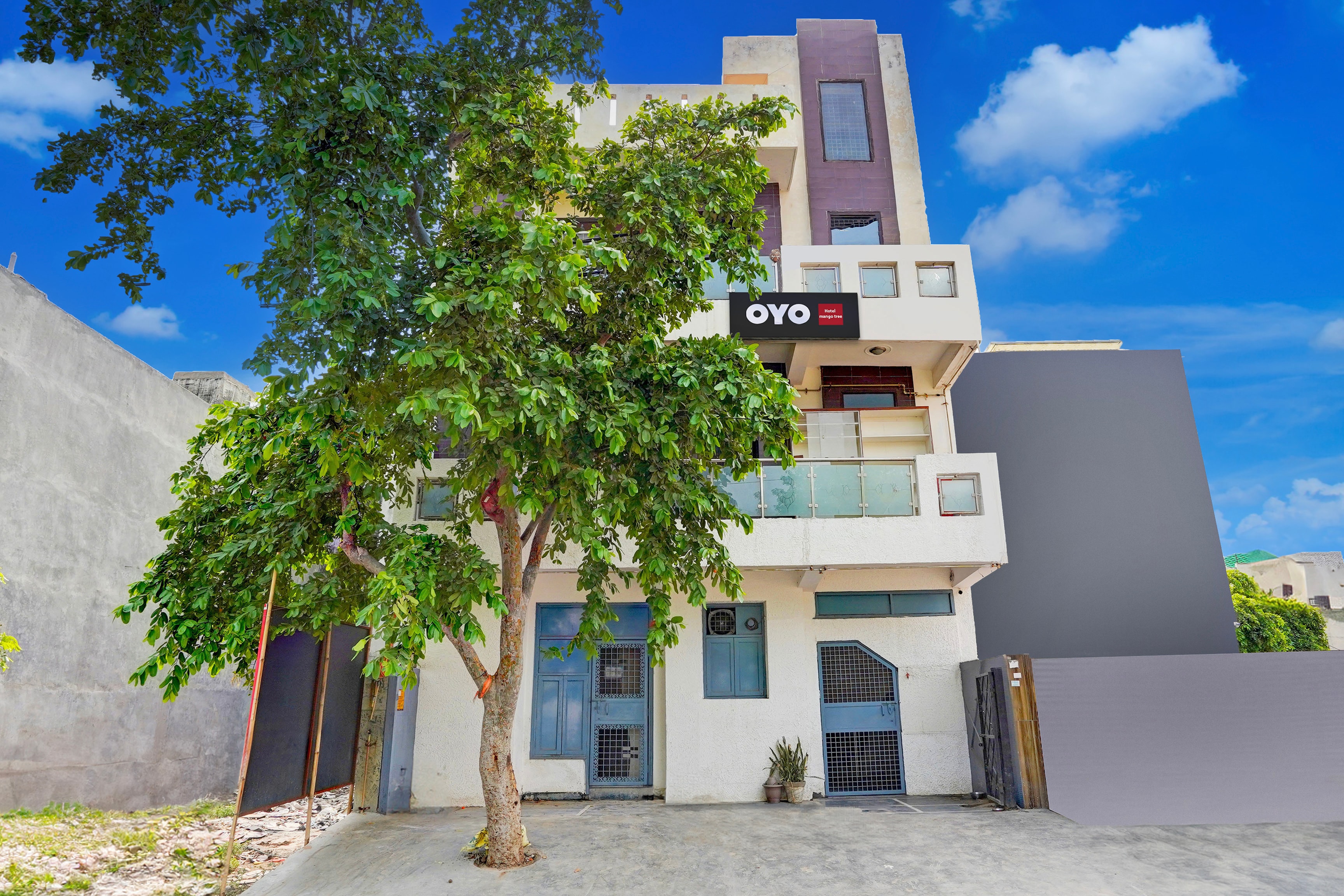 Hotel O Mango Tree - Tap to explore photos