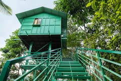 Wayside Cottage | Private Rooms & Treehouse, Munnar