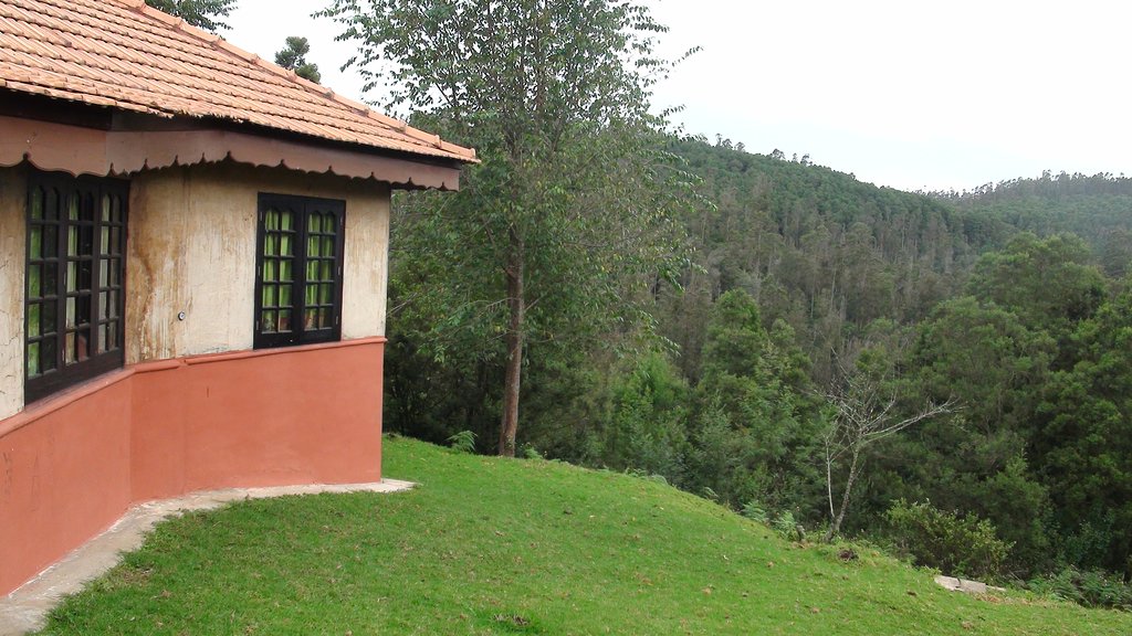 Eco Hostel Kodaikanal - Tap to explore photos