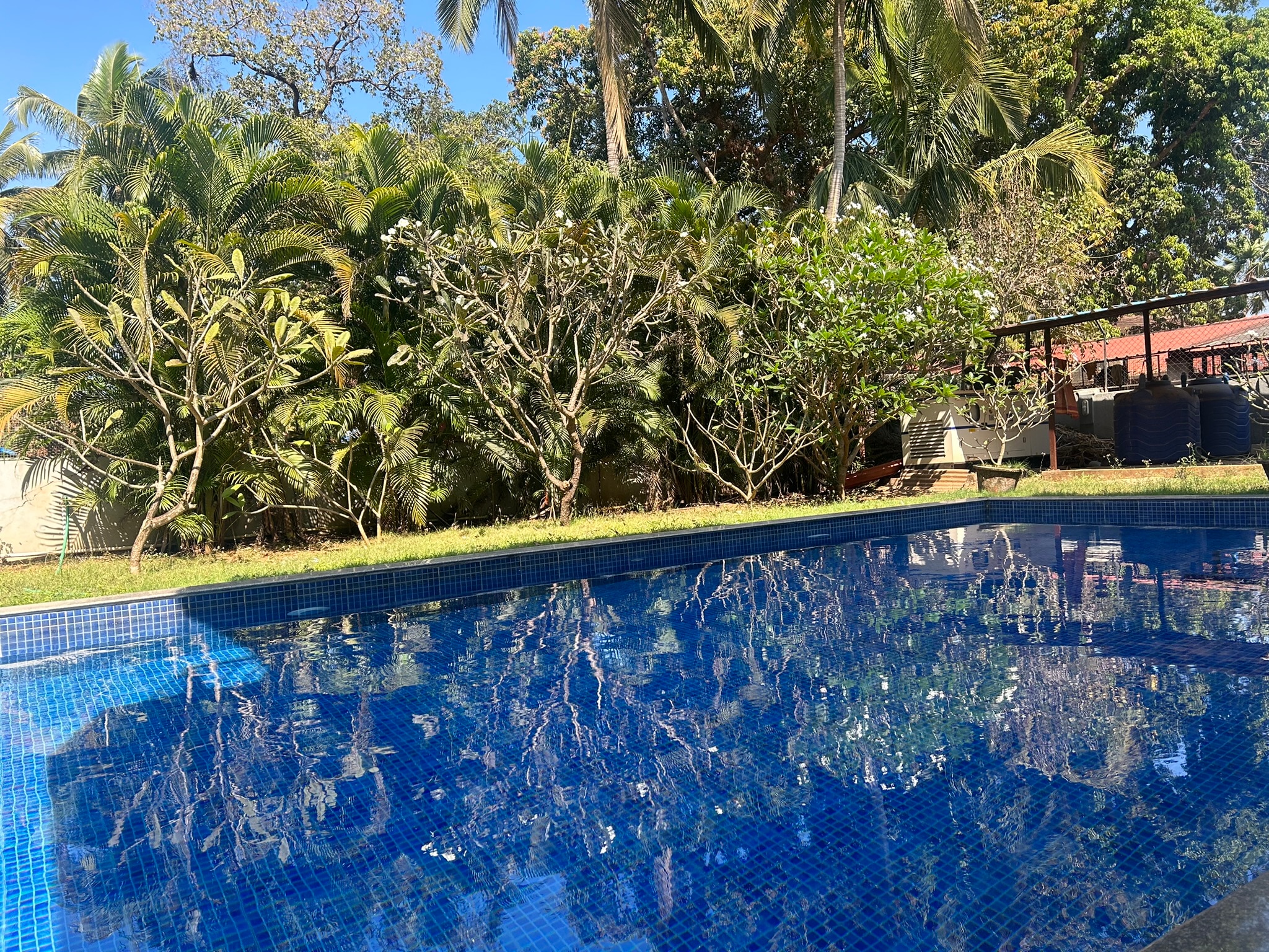 Well maintained modern 1bhk flat - Tap to explore photos