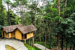 Song Of The Trees, Kuttikkanam