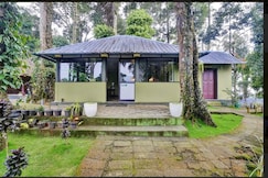 Misty D Silver, Munnar