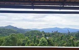 Views