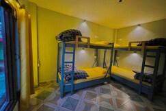 Sparrow House entire home, Palampur