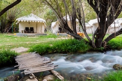 Royal Deluxe Camp | Tents & Cottages, Nubra Valley