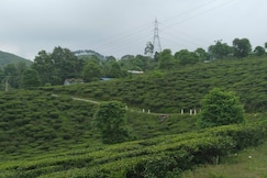 AAYUSHMAN HOMESTAY, Mirik