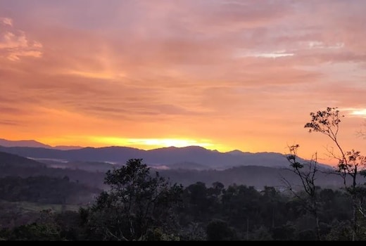 Daisy Land  Farm Stay Group of 4 guests