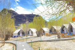 Dreamville Glamping, Nubra Valley