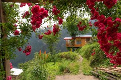 Bastiat Stays Glasshouse Cabin Jibhi, Banjar
