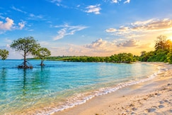 COCONHUTS BEACH RESORT, Swaraj Dweep (Havelock)