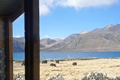 Peace Cottages Pangong, Leh