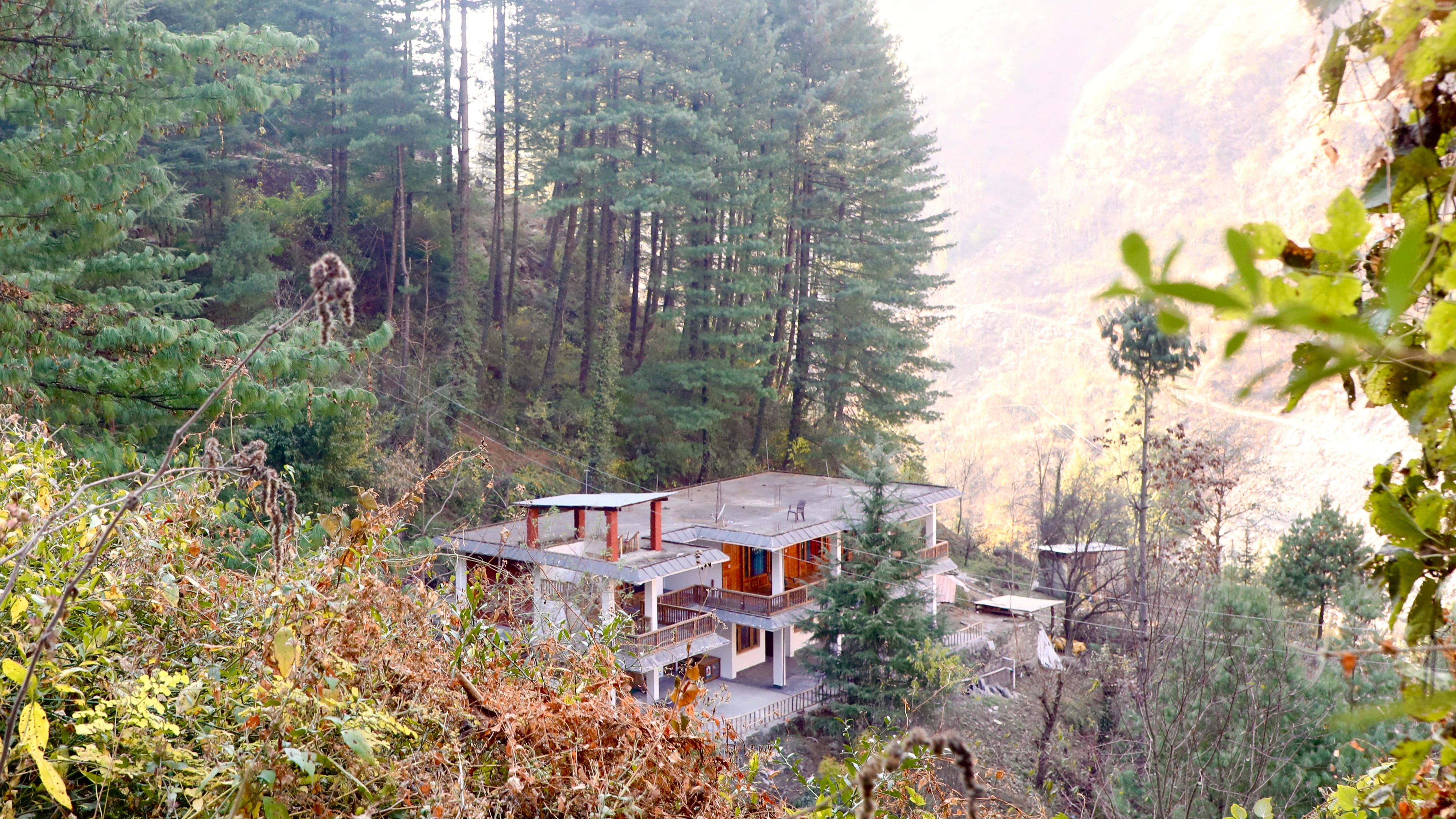 The Woods - Tirthan Valley - Tap to explore photos