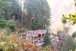 The Woods - Tirthan Valley, Gushaini