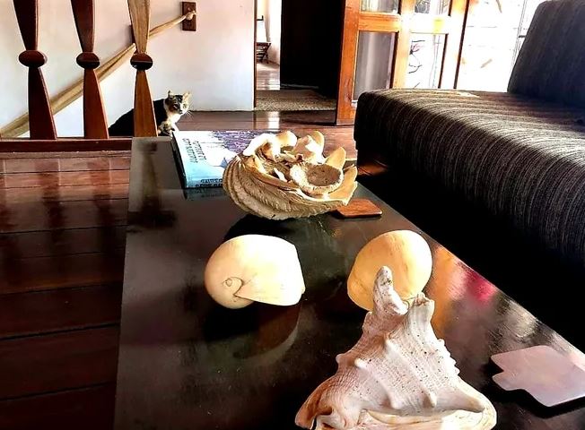 Andaluzia Homestay - Tap to explore photos