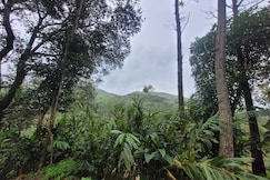 Mystic Heaven, Ranni