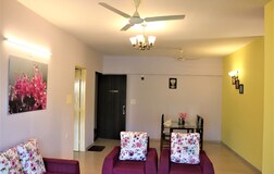 Living Room 1