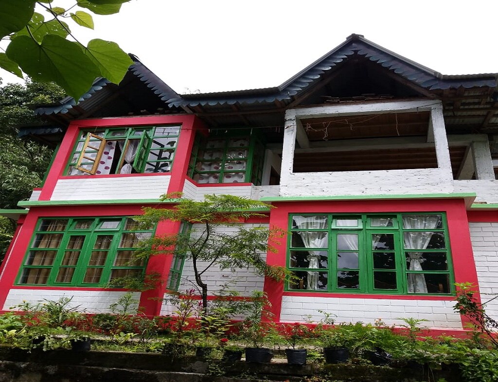 lion nest homestay - Tap to explore photos