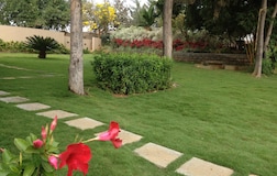 Swimming Pool 1