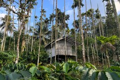 Himadri Retreat | Rooms in a Cottage, Wayanad