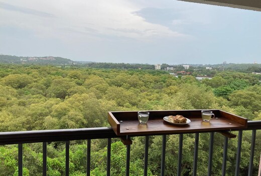 2BR Aviation Theme Mangrove View Candolim nr Beach
