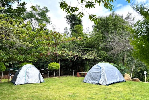 Chikmagalur Green View Homestay