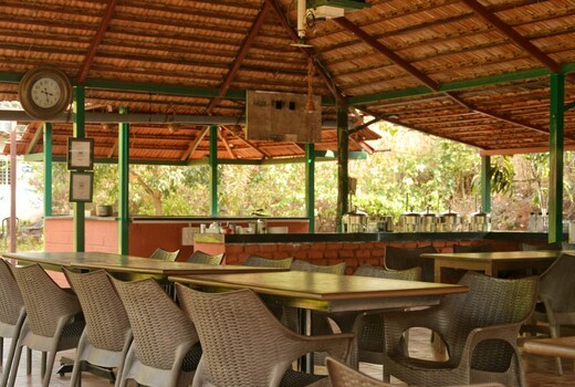 Casual Dining Experience