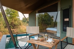 Trees N Tigers Tadoba National Park, Chimur