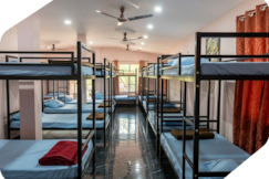 Ansha Bedspace, Goa