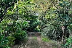 The Royal Farm, Sohna