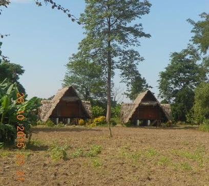 Namdapha Jungle Camp - Tap to explore photos