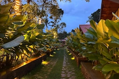Willmount Glen Domes and Resort, Wayanad