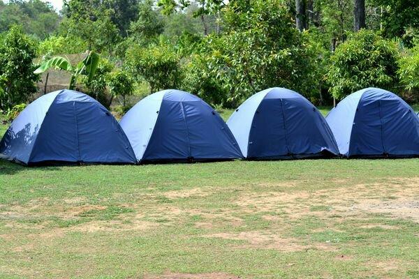 Stanley Camping Tent Dandeli Free Cancellation Price Address Reviews