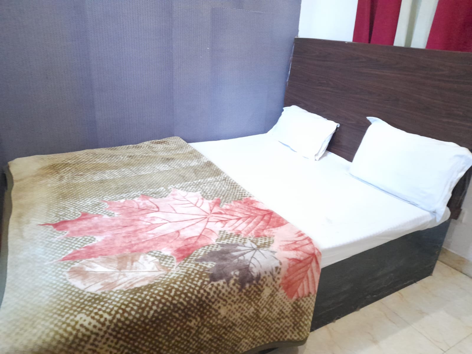 Hotel Vidhata Palace Nawada Railway Station - Tap to explore photos